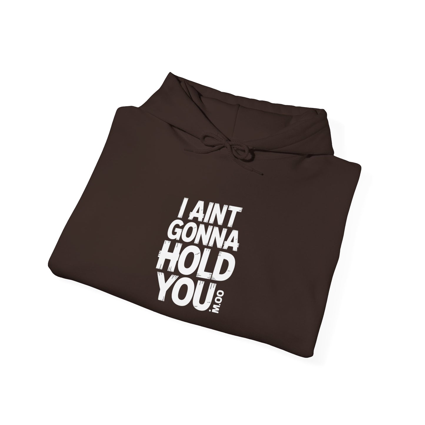 Hooded Sweatshirt - I Aint Gonna Hold You Print - Special Edition Warm and Stylish