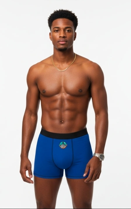 Mens Boxers — Blue Boxer Briefs with IAGHY Logo